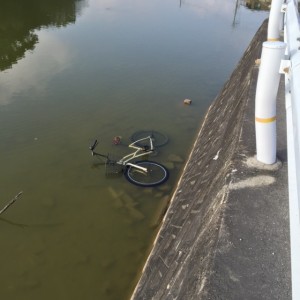 御陵に投げ込まれた自転車